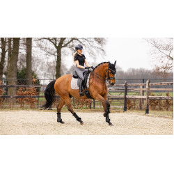 LeMieux Dressur-Schabracke - Baumwolle Grau LeMieux Dressur-Schabracke - Baumwolle Grau