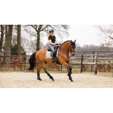 LeMieux Dressur-Schabracke - Baumwolle LeMieux Dressur-Schabracke - Baumwolle