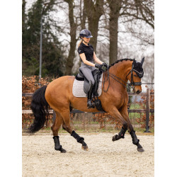 LeMieux Dressur-Schabracke - Baumwolle Grau LeMieux Dressur-Schabracke - Baumwolle Grau