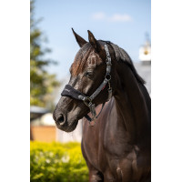 Halfter und Führstrick Lemieux Vogue Marineblau / Königsblau