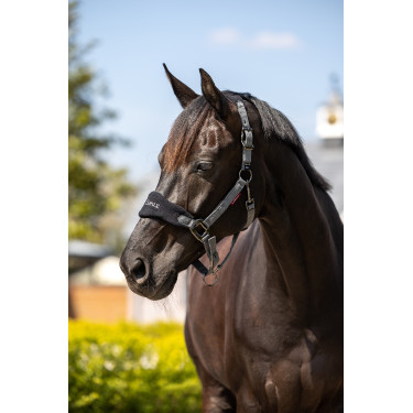 Halfter und Führstrick Lemieux Vogue Schwarz / Grau