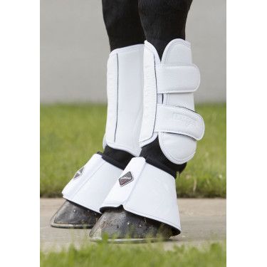 LeMieux Gamaschen - Dressur LeMieux Gamaschen - Dressur