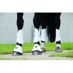 LeMieux Gamaschen - Dressur LeMieux Gamaschen - Dressur