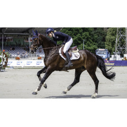 LeMieux Prosport Close Contact Schabracke - Baumwolle Weiß Weiß LeMieux Prosport Close Contact Schabracke - Baumwolle Weiß Weiß