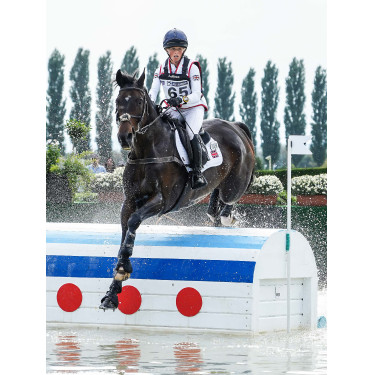 LeMieux Prosport Close Contact Schabracke - Baumwolle Weiß Weiß LeMieux Prosport Close Contact Schabracke - Baumwolle Weiß Weiß