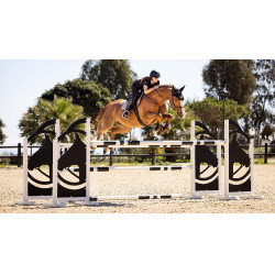 LeMieux Eurojump Wildleder Schabracke Grau