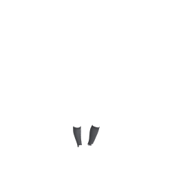 Wettkampfsocken LeMieux 2 Paar Wettkampfsocken LeMieux 2 Paar
