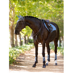 LeMieux Grafter Gamaschen Ice blue altes Modell Blau