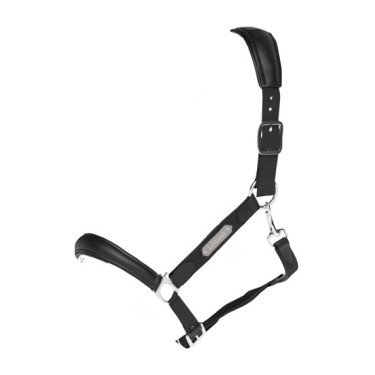 Halfter Capella LeMieux Schwarz