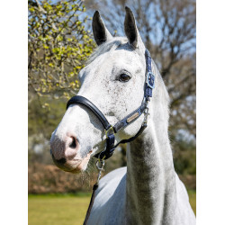 Halfter Capella LeMieux Marineblau Halfter Capella LeMieux Marineblau