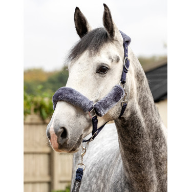 LeMieux Komfort-Halfter Marine / Grau Blau LeMieux Komfort-Halfter Marine / Grau Blau