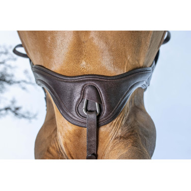 Springsattelgurt LeMieux Gel-Tek Anatomic Springsattelgurt LeMieux Gel-Tek Anatomic