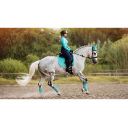 LeMieux Suede Dressur Schabracke Azurblau