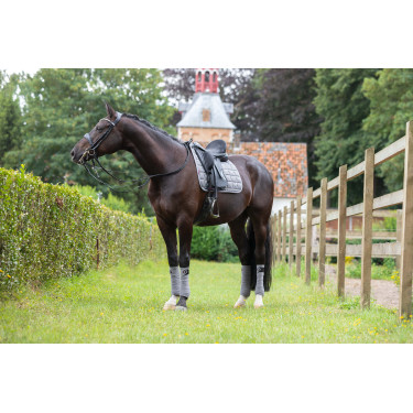 LeMieux Carbon Mesh Square Dressur Schabracke Grau LeMieux Carbon Mesh Square Dressur Schabracke Grau