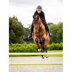 Fliegenhaube Crystal LeMieux Braun