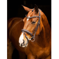 Trensenzaum LeMieux Arika Schwarz / Silber