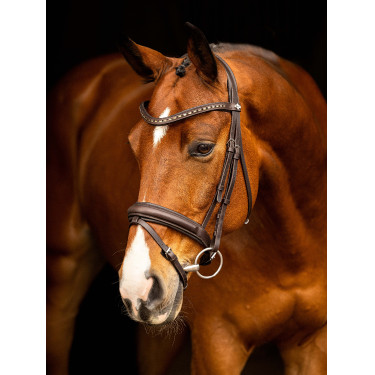 Trensenzaum LeMieux Arika Braun / Silber