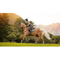 Satteldecke LeMieux Earth Close Contact Moos Braun Satteldecke LeMieux Earth Close Contact Moos Braun