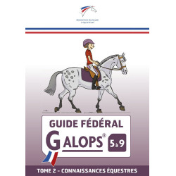 Bundesleitfaden FFE Galopp 5 bis 9 Band 2