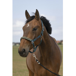 Halfter Equithème Nylon Chevron Halfter Equithème Nylon Chevron