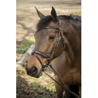 Trensenzaum Pénélope Smoothie Havanna Braun