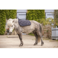 Paddock Sports Prems Schabracke Schwarz Paddock Sports Prems Schabracke Schwarz