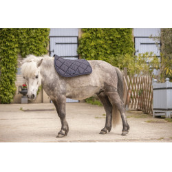 Paddock Sports Prems Schabracke Paddock Sports Prems Schabracke