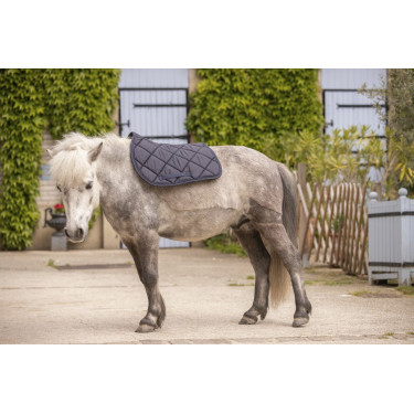 Paddock Sports Prems Schabracke Paddock Sports Prems Schabracke