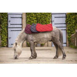 Paddock Sports Prems Schabracke Paddock Sports Prems Schabracke