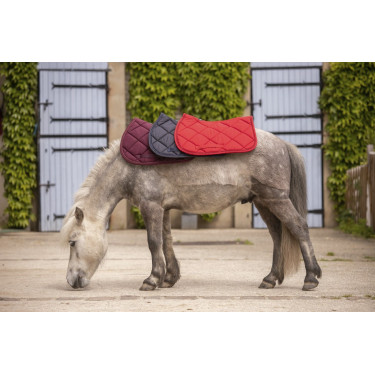 Paddock Sports Prems Schabracke Paddock Sports Prems Schabracke