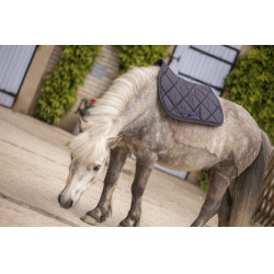 Paddock Sports Prems Schabracke Paddock Sports Prems Schabracke