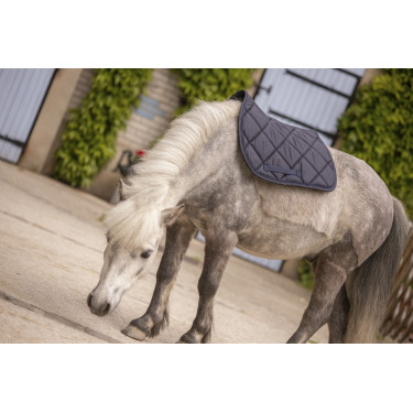 Paddock Sports Prems Schabracke Paddock Sports Prems Schabracke