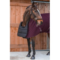 Brustschutz Harcour Gala Marine Marineblau