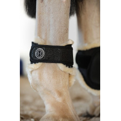 Streichkappen Harcour Totseen Schwarz