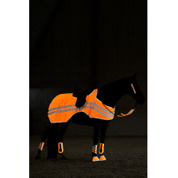 Reflektierende fluoreszierende Nierendecke Horze Reflektierende fluoreszierende Nierendecke Horze
