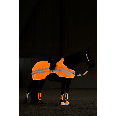 Reflektierende fluoreszierende Nierendecke Horze Reflektierende fluoreszierende Nierendecke Horze