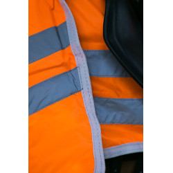 Reflektierende fluoreszierende Nierendecke Horze Reflektierende fluoreszierende Nierendecke Horze