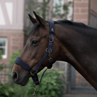 Gepolsterter Halfter Graz Horze Dunkelblauer Peacoat