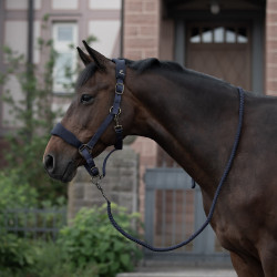 Gepolsterter Halfter Graz Horze Gepolsterter Halfter Graz Horze