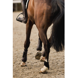 Gamaschen und Streichkappen Horze Armour Airflow Gamaschen und Streichkappen Horze Armour Airflow