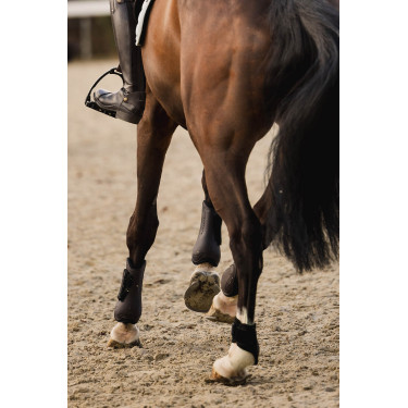 Gamaschen und Streichkappen Horze Armour Airflow Gamaschen und Streichkappen Horze Armour Airflow