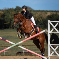 Atlanta Langgurt Horze Lammfell Schwarz