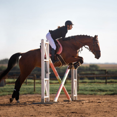Atlanta Langgurt Horze Lammfell Dunkelbraun