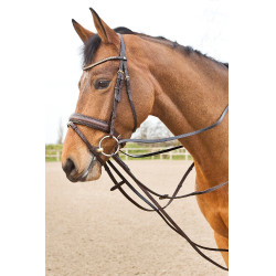 Lederzügel deutsche Art Horze Sparta Braun