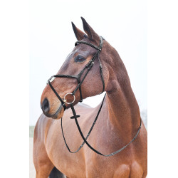 Trense mit kombiniertem Reithalfter Prescott Horze Schwarz
