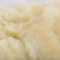 Geschlossene Gamaschen Horze Signature Schwarz