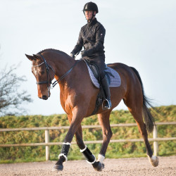 Geschlossene Gamaschen Horze Signature Schwarz