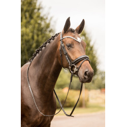 Anatomisches Trensenzaum Grayson Horze mit Strass Anatomisches Trensenzaum Grayson Horze mit Strass