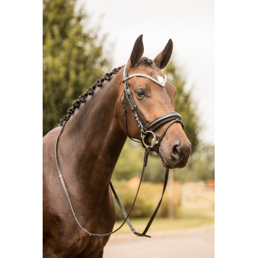 Anatomisches Trensenzaum Grayson Horze mit Strass Anatomisches Trensenzaum Grayson Horze mit Strass