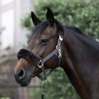 Halfter B Vertigo Laurier echtes Lammfell Braun